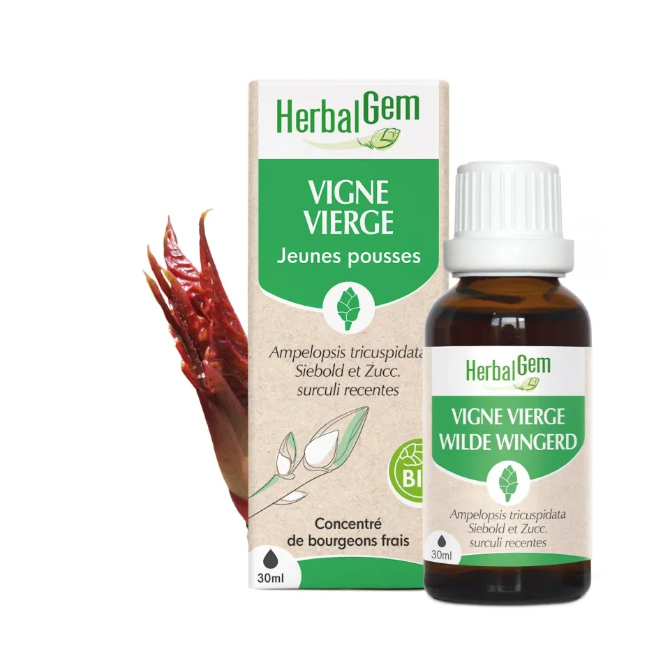 Herbalgem Vigne vierge bourgeon bio peau saine