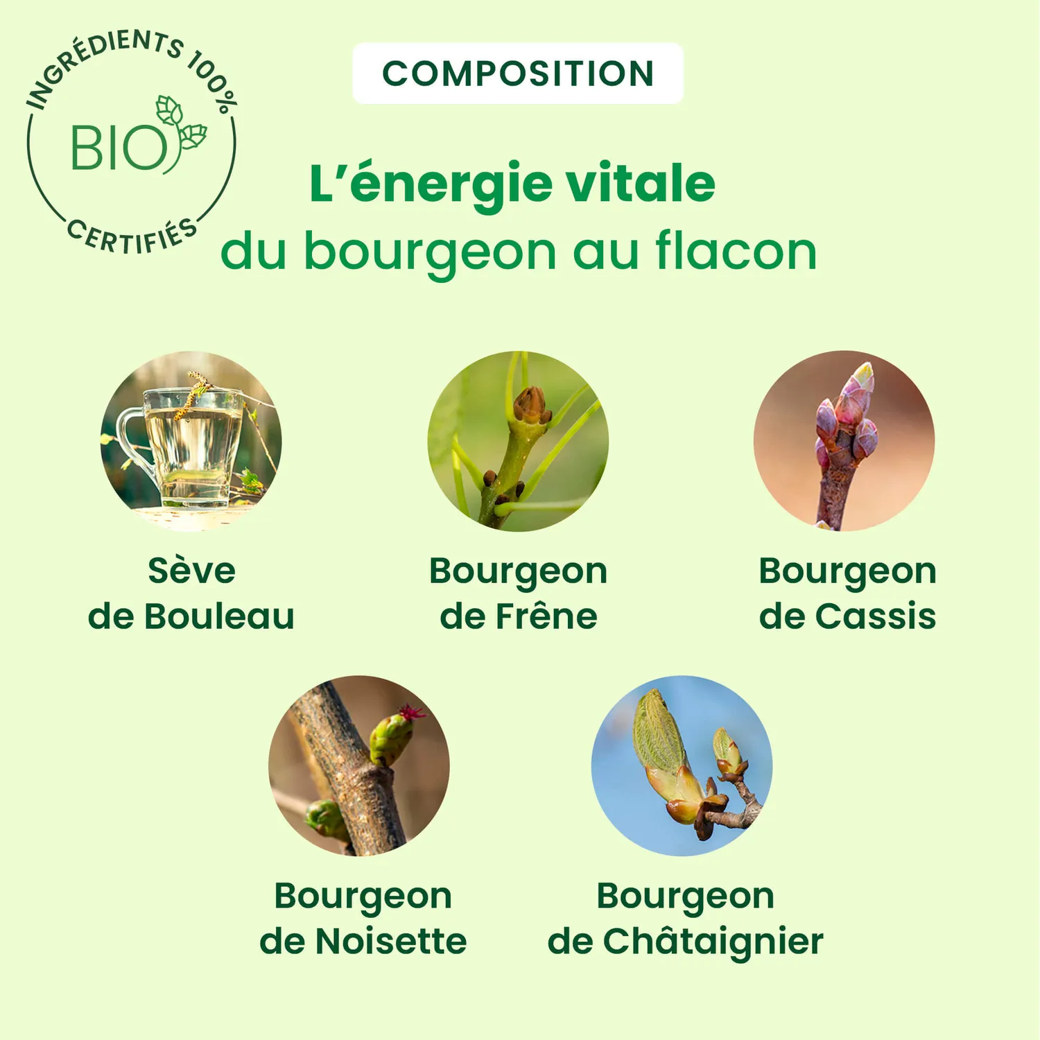 Herbalgem Sève Minceur sève de bouleau bio drainante
