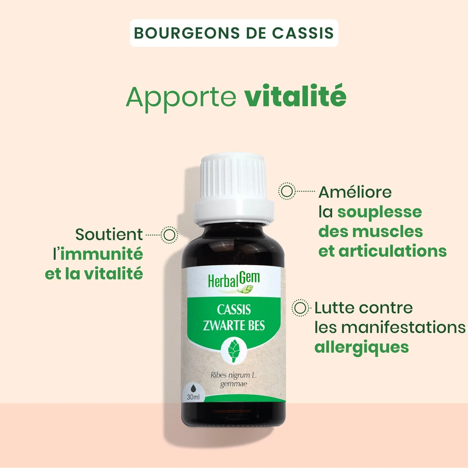 Herbalgem Cassis bourgeon concentré 30 ml + 15 ml bio