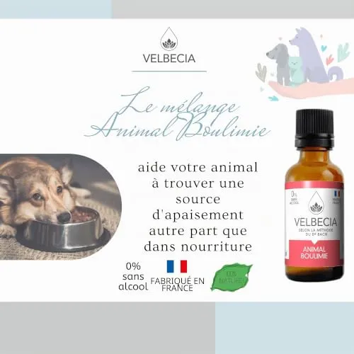 Velbecia Animal Boulimie élixir floral sans alcool 30 ml +1 offert