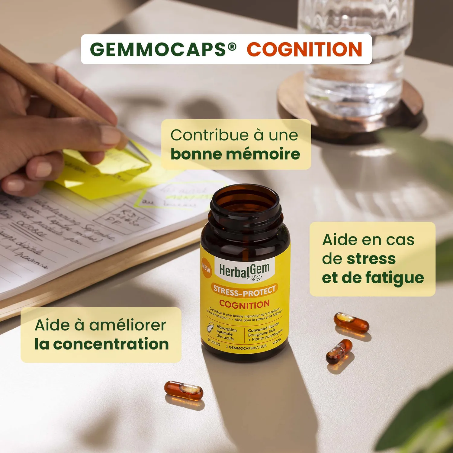 HERBALGEM Gemmocaps Cognition gélules mémoire 30 jours