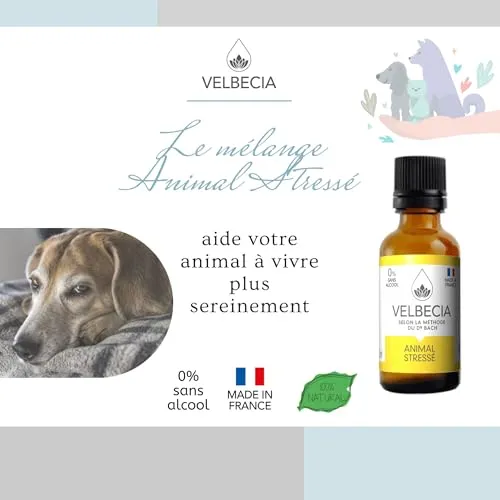 Velbecia Animal Stressé élixir fleurs 2x50ml anxieux