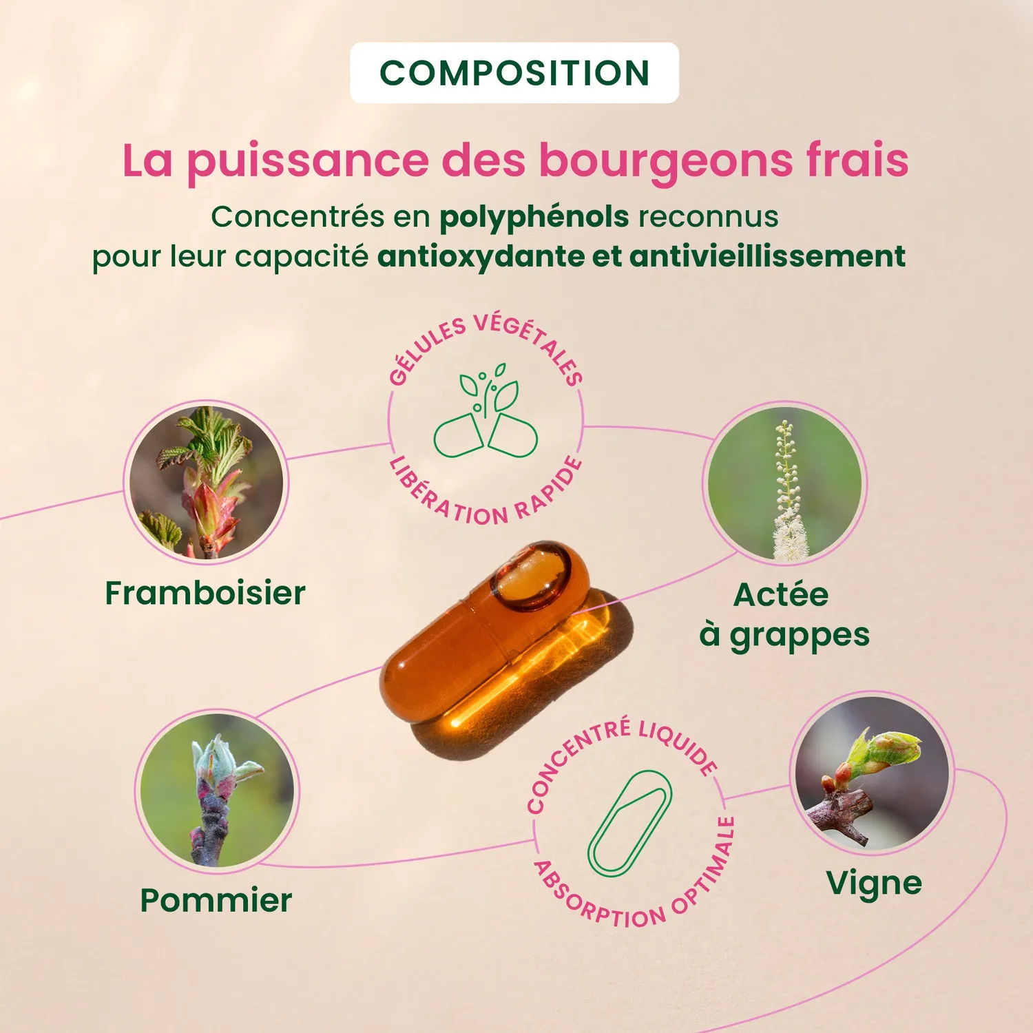 HERBALGEM Gemmocaps Périménopause complément bourgeons