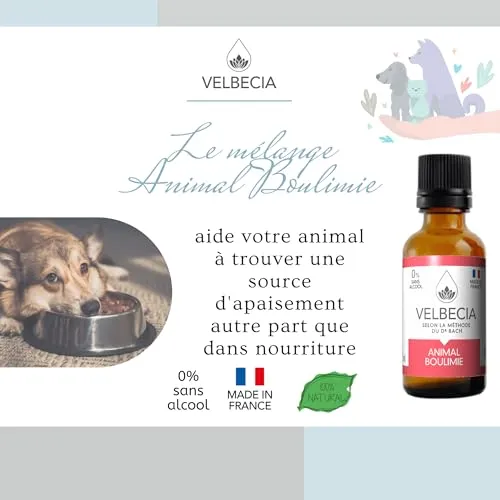 Velbecia Animal boulimie élixir fleurs 50ml sans alcool glouton