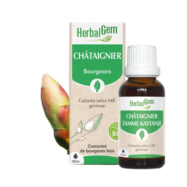 Herbalgem Bourgeon Châtaignier Petit Format Bio