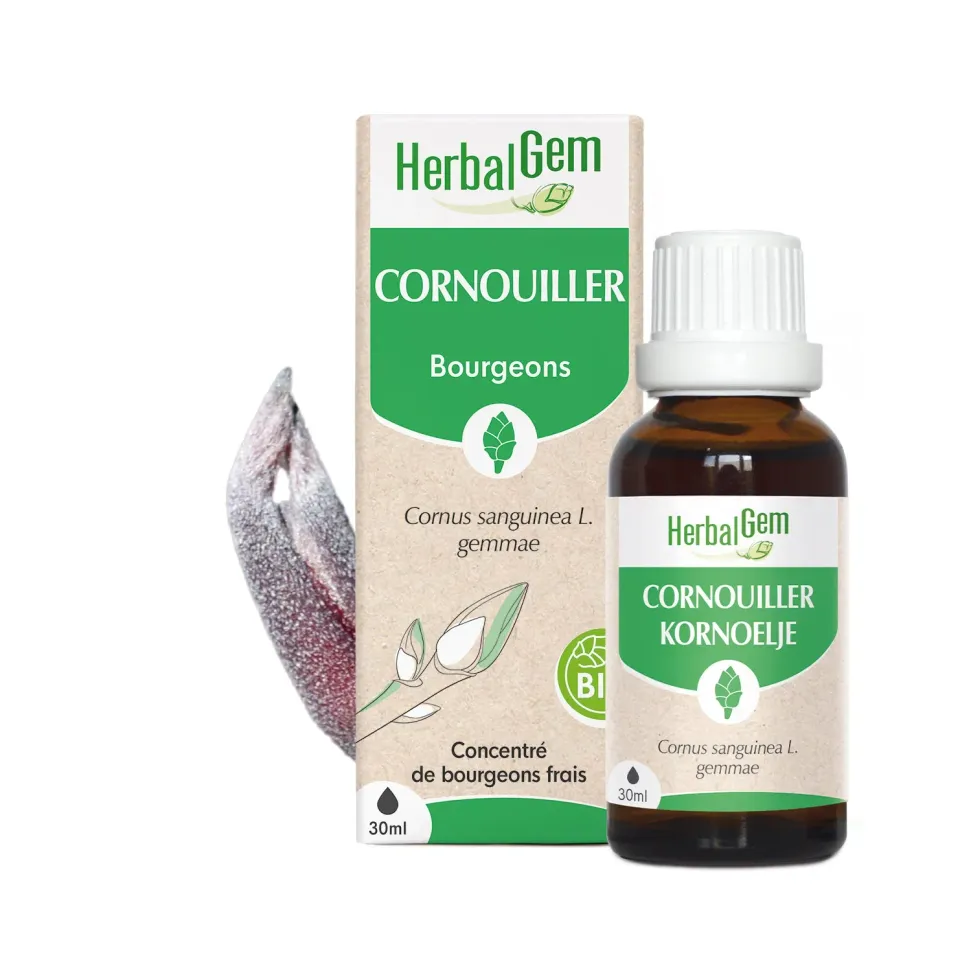 HERBALGEM Bourgeon Cornouiller concentré bio gouttes