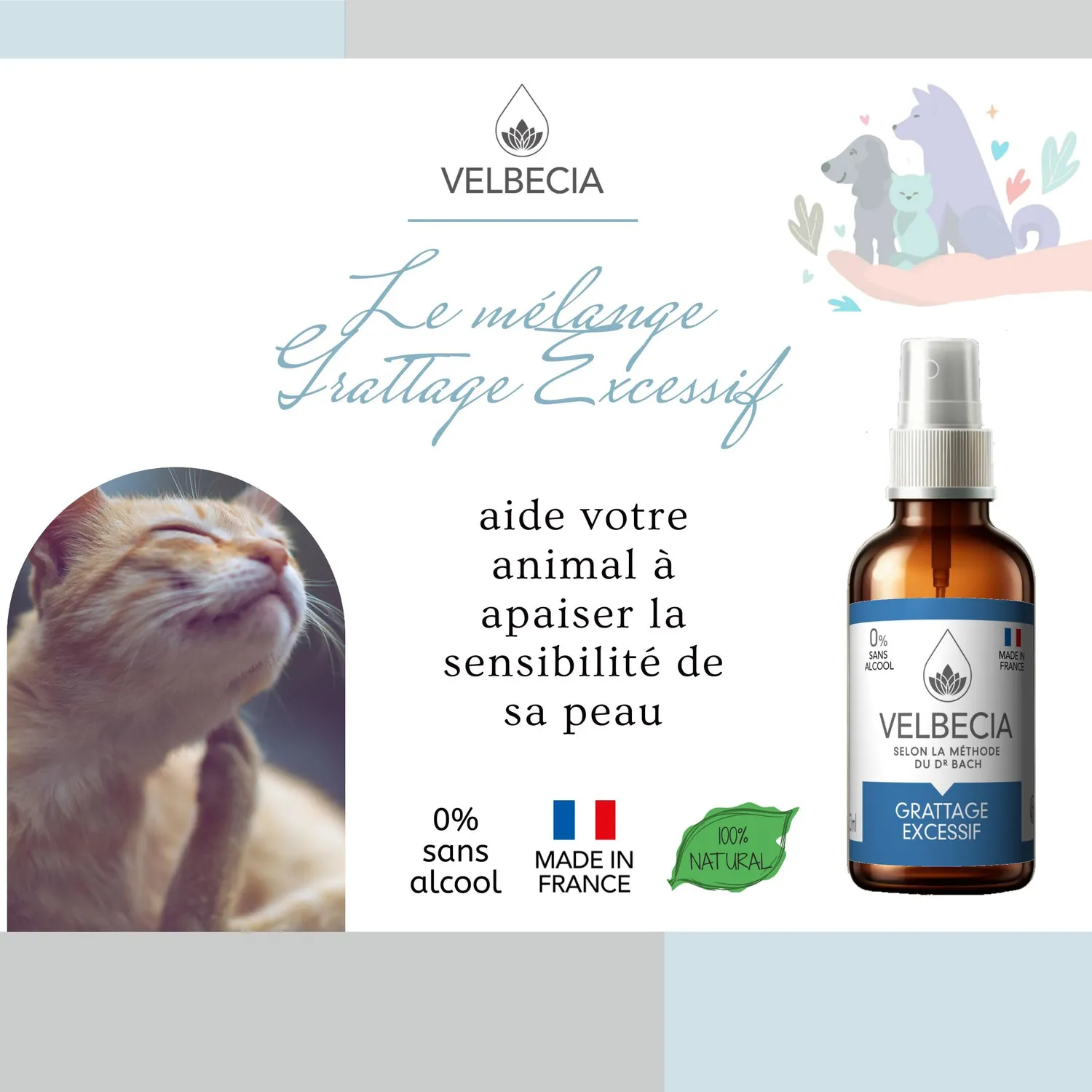 Velbecia Grattage Excessif élixir fleurs 30 ml +1 offert sans alcool