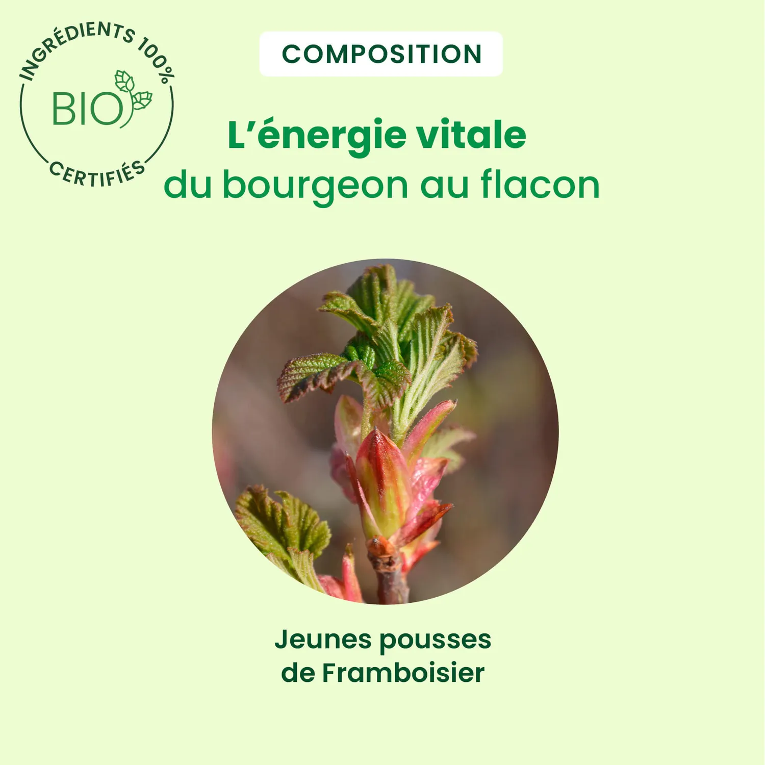 Herbalgem Framboisier bourgeon bio confort féminin