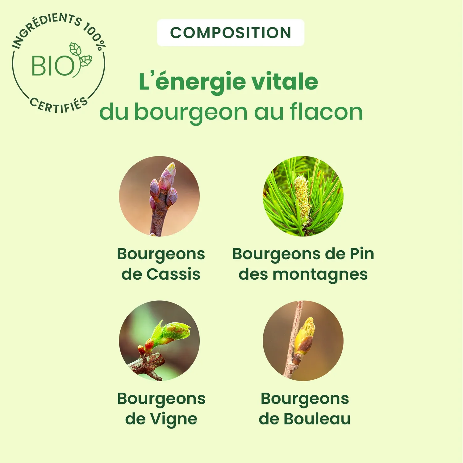 Herbalgem Artigem complexe articulations bio confort