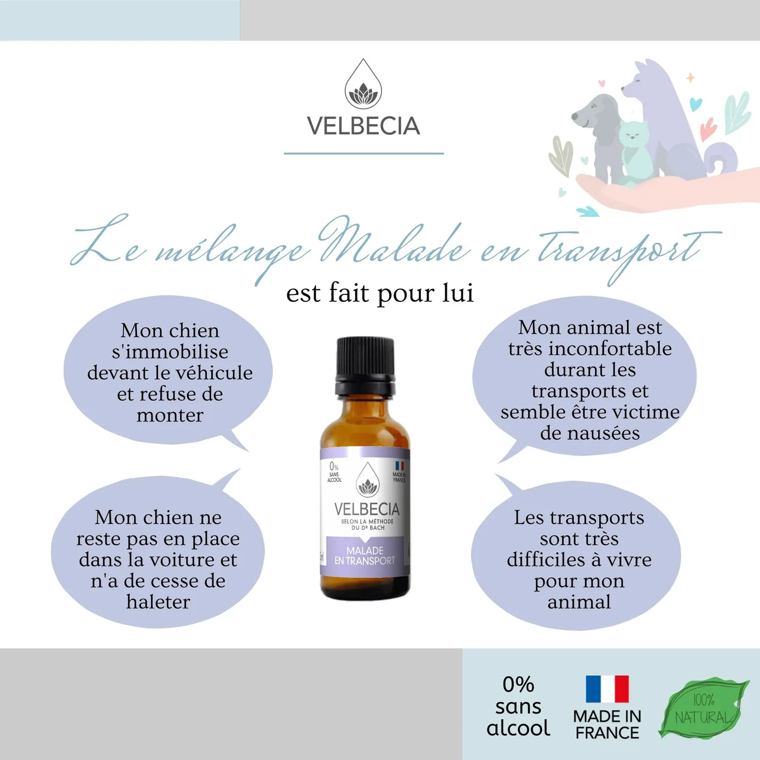 Velbecia Animal Malade Voiture élixir 2x30ml chat chien