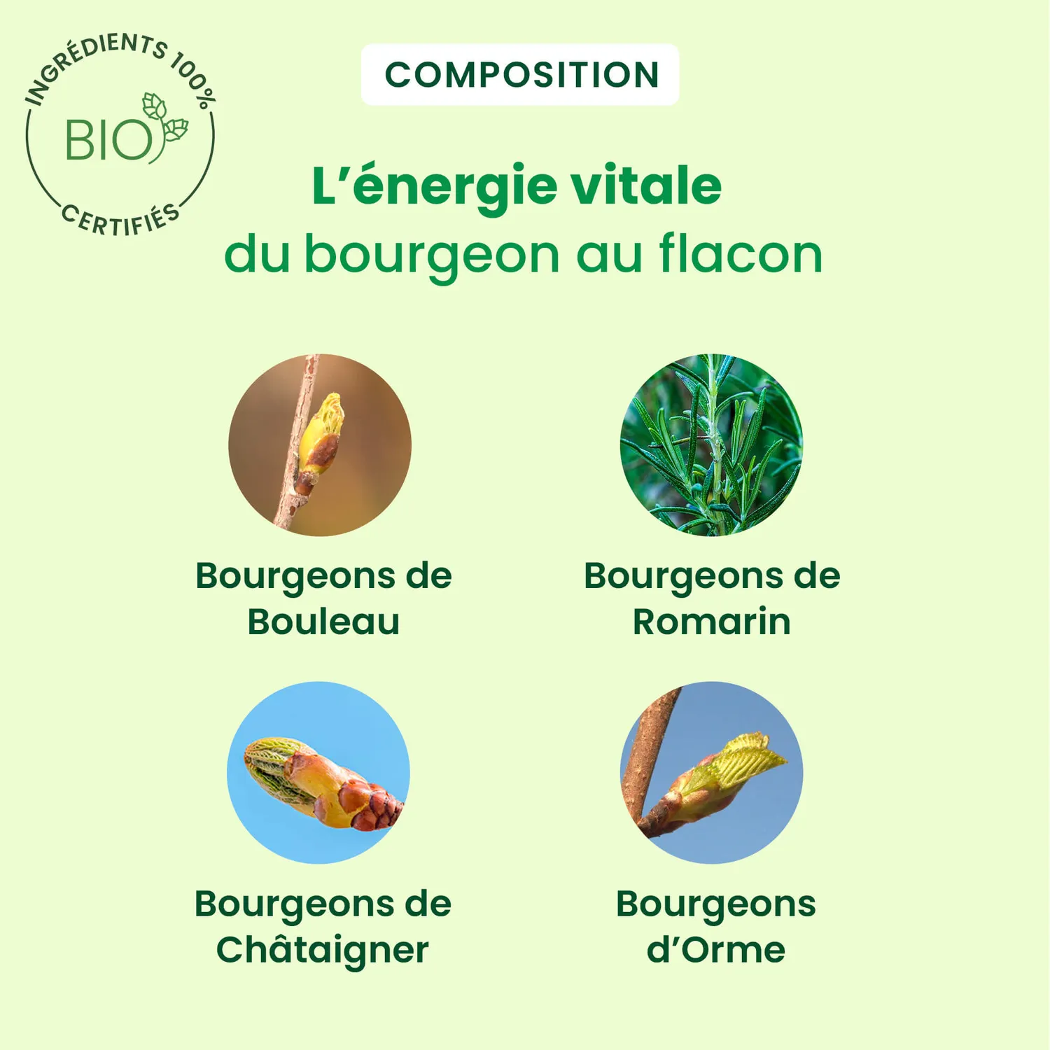 Herbalgem Détox Express monodoses bio 7 jours