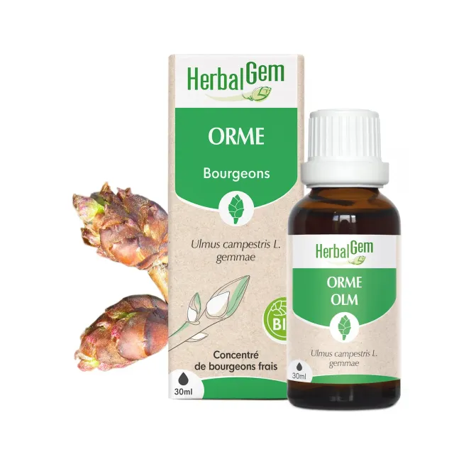 Herbalgem Orme bourgeon bio soutien naturel