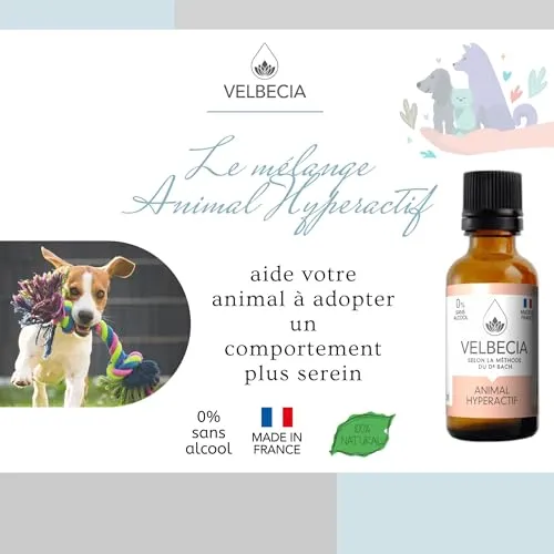 Velbecia Animal Hyperactif élixir fleurs 30ml + offert