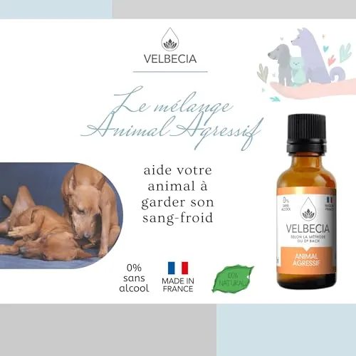 Velbecia Animal Agressif Élixir Sans Alcool 50ml Calme