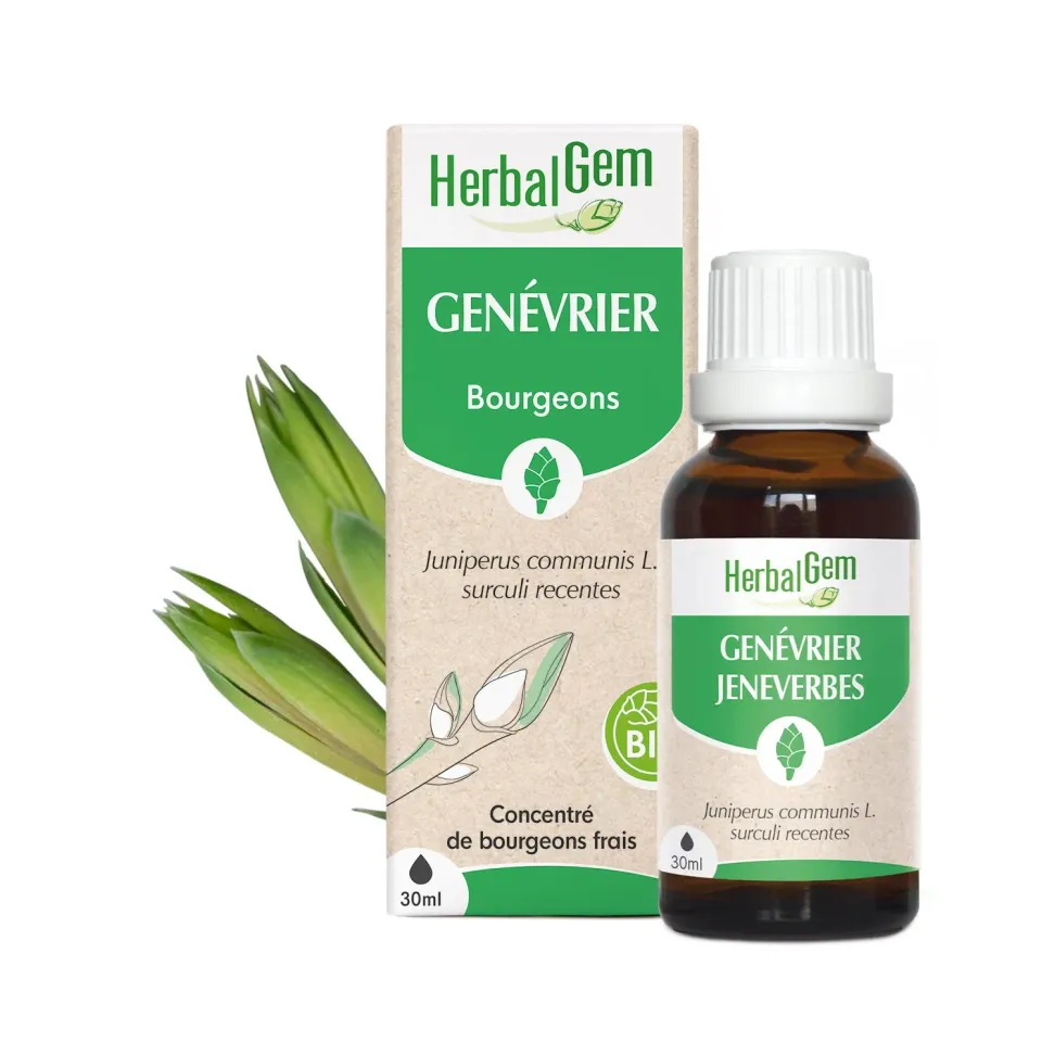 Herbalgem Bourgeon de genévrier drainant bio