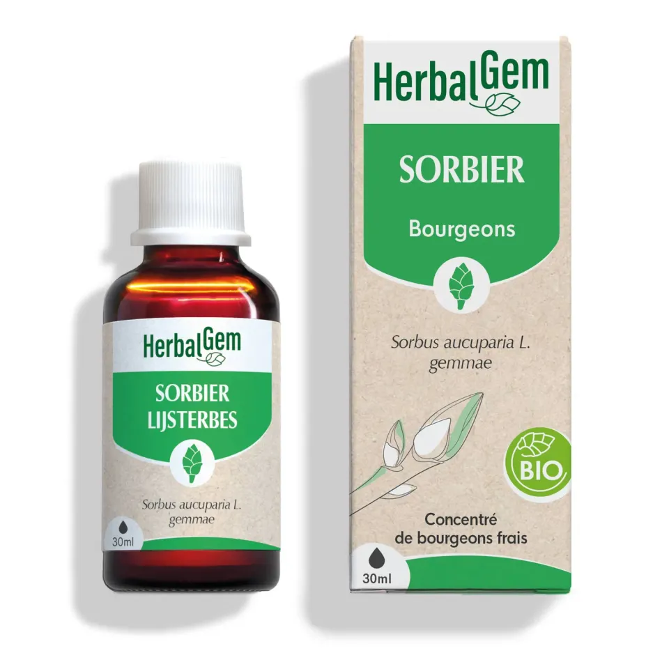 Herbalgem Sorbier Bio macérat bourgeons circulation