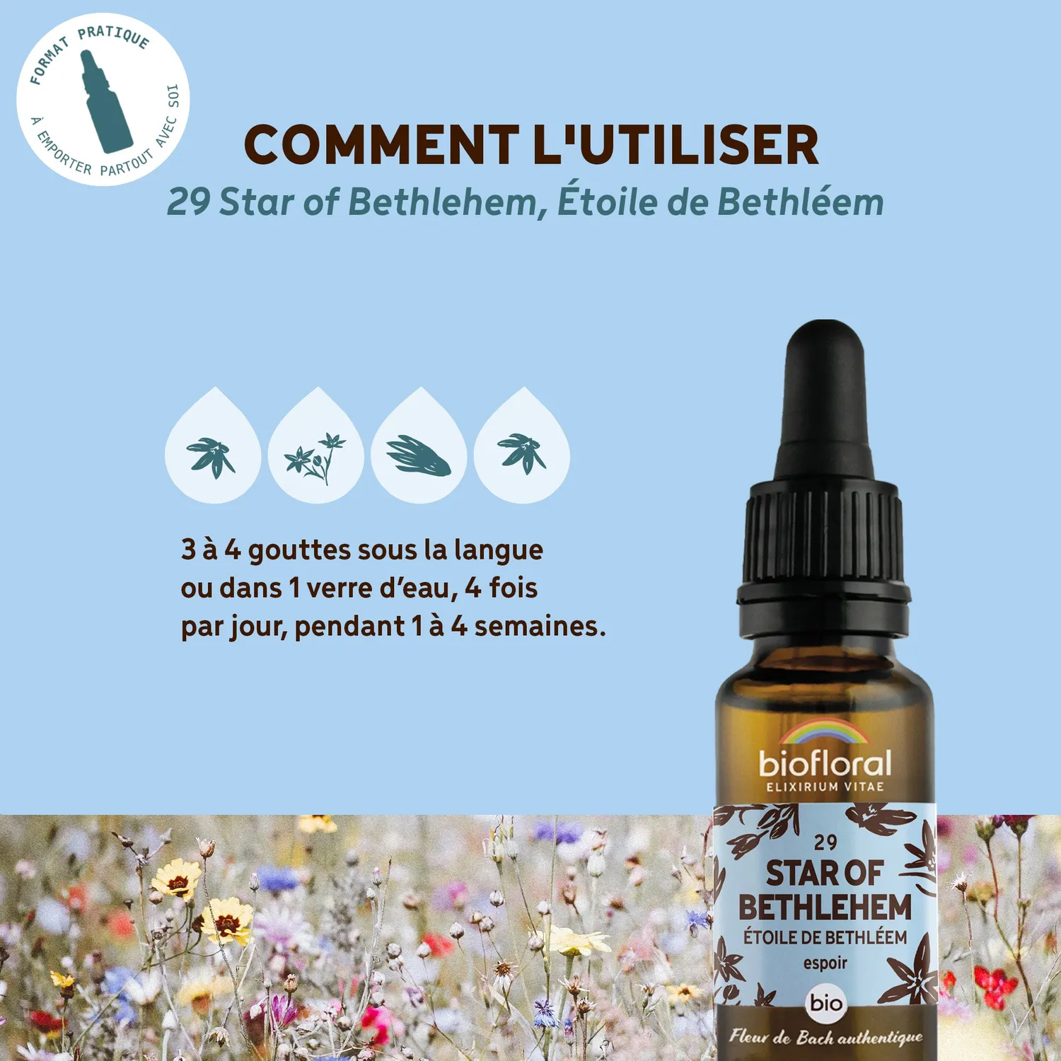 HerbalGem Fleur de Bach n°29 Star of Bethlehem bio