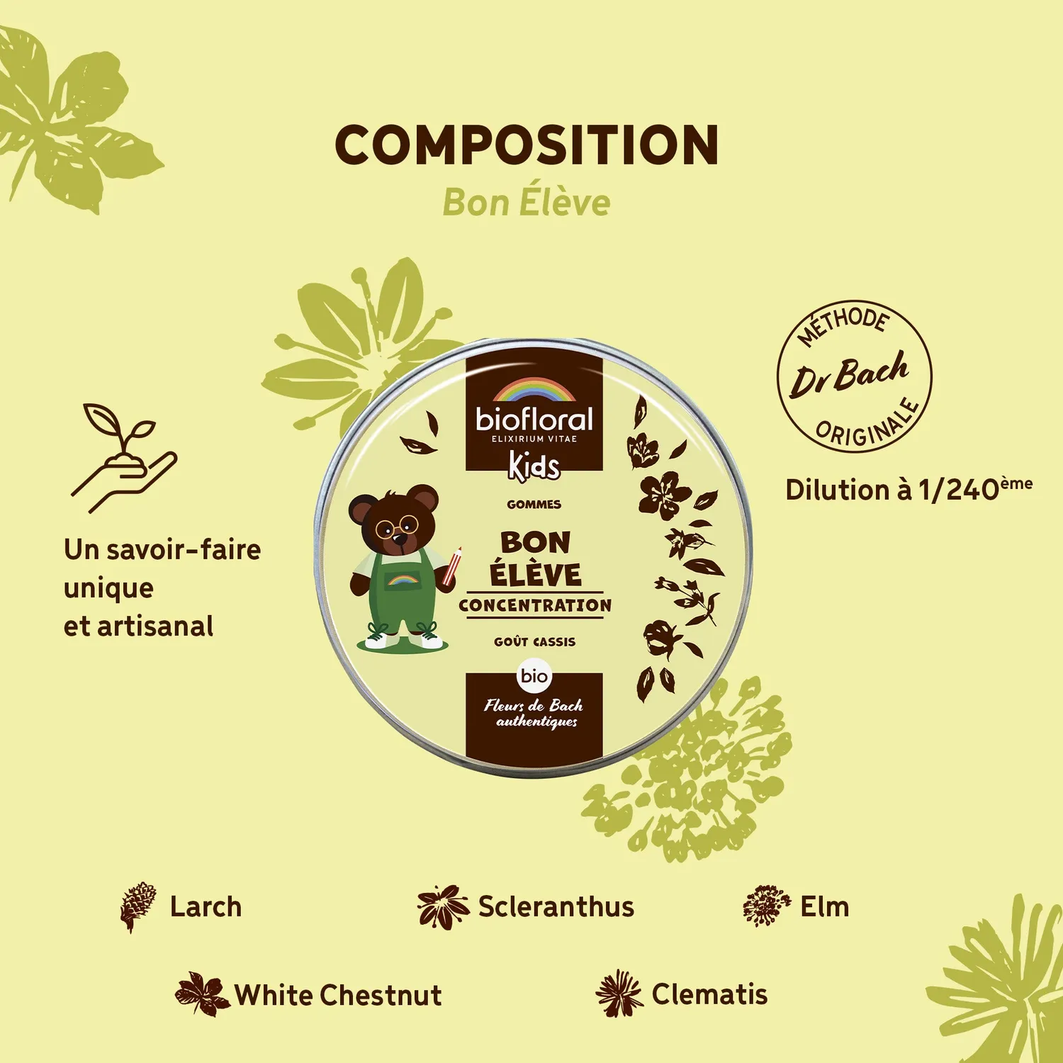 Herbalgem Bon élève gommes bio concentration enfant