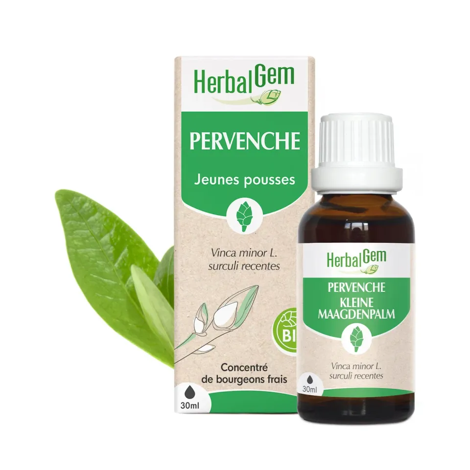 Herbalgem Pervenche bourgeon bio cérébral