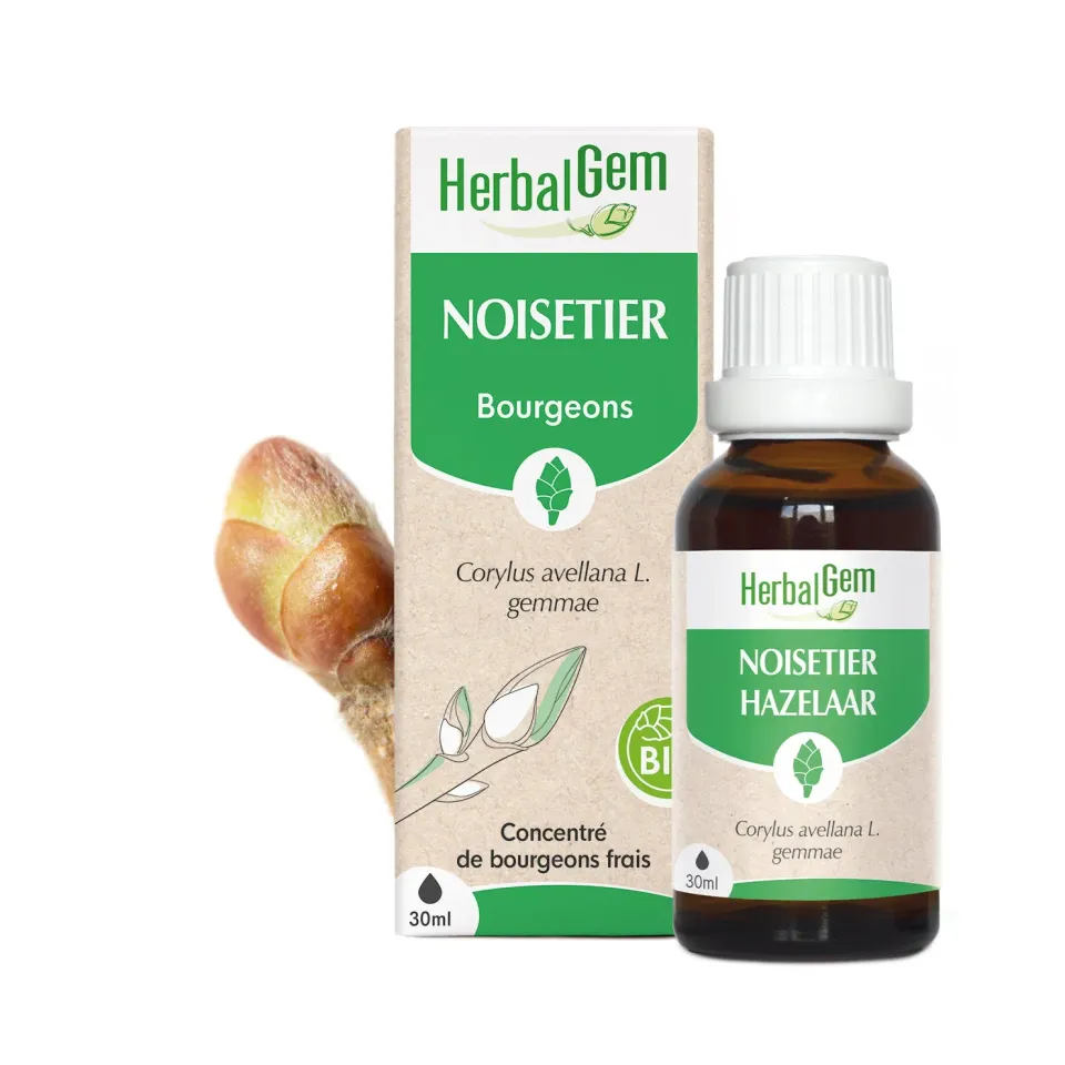 Herbalgem Noisetier bourgeon bio vitalité