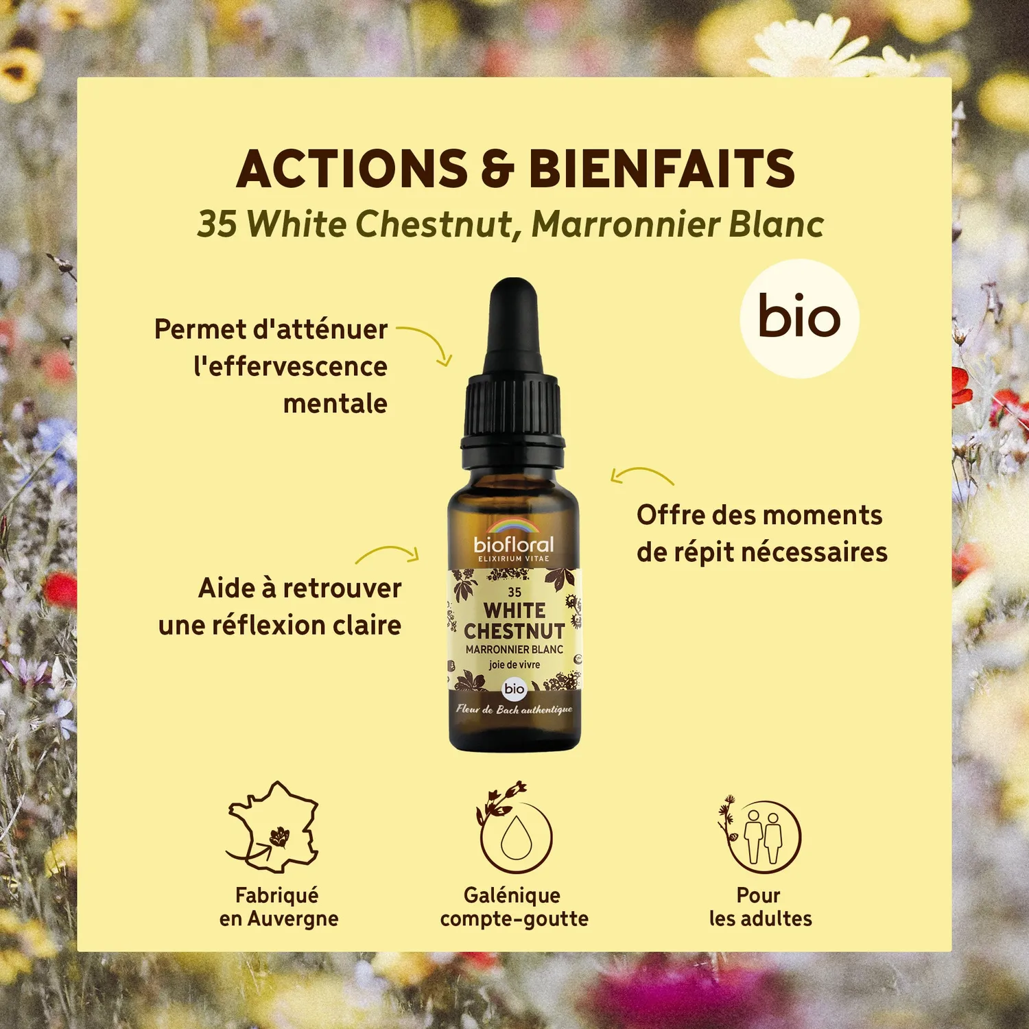 HERBALGEM Fleur de Bach n°35 Marronnier Blanc bio