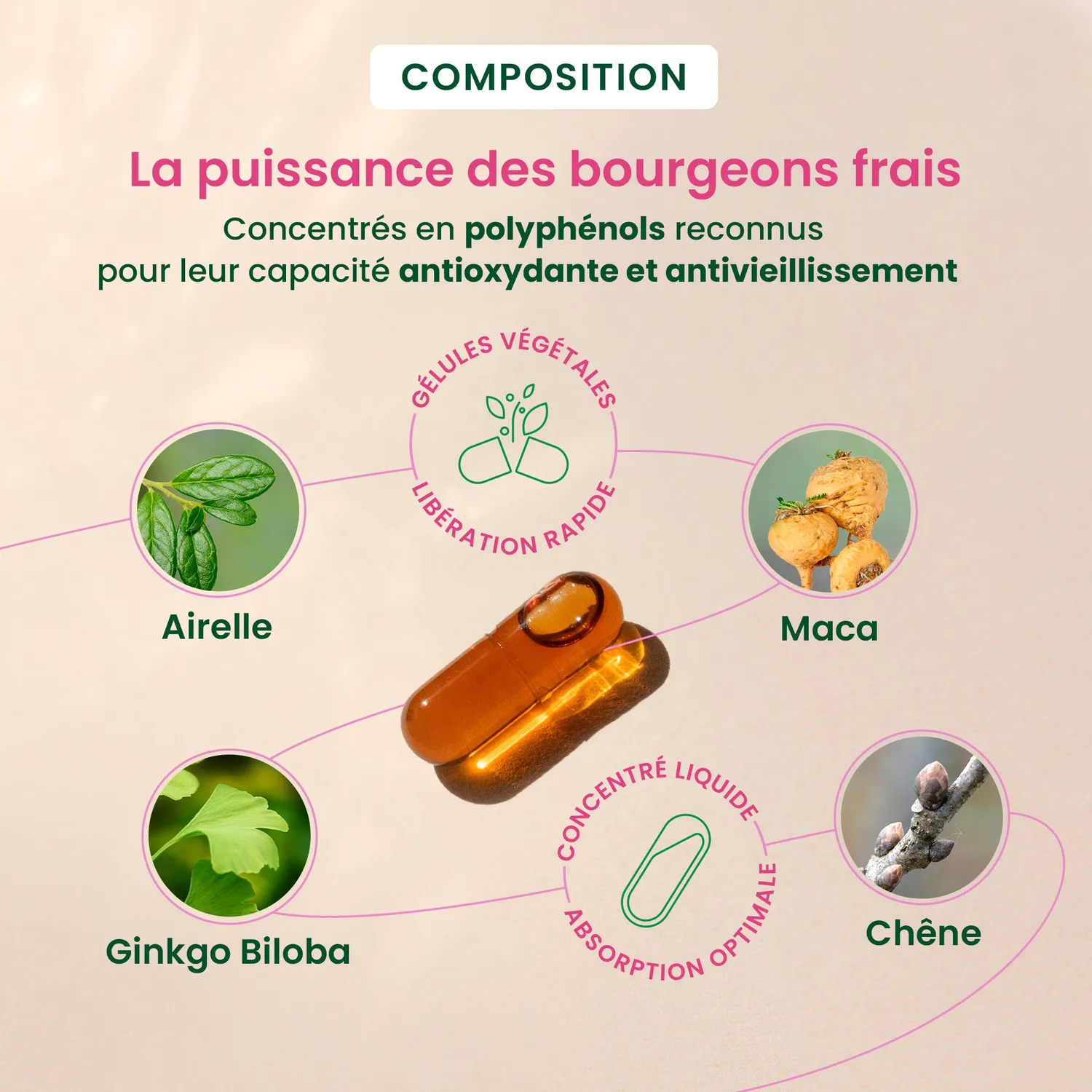 Herbalgem GemmoCaps Postménopause gélules vitality