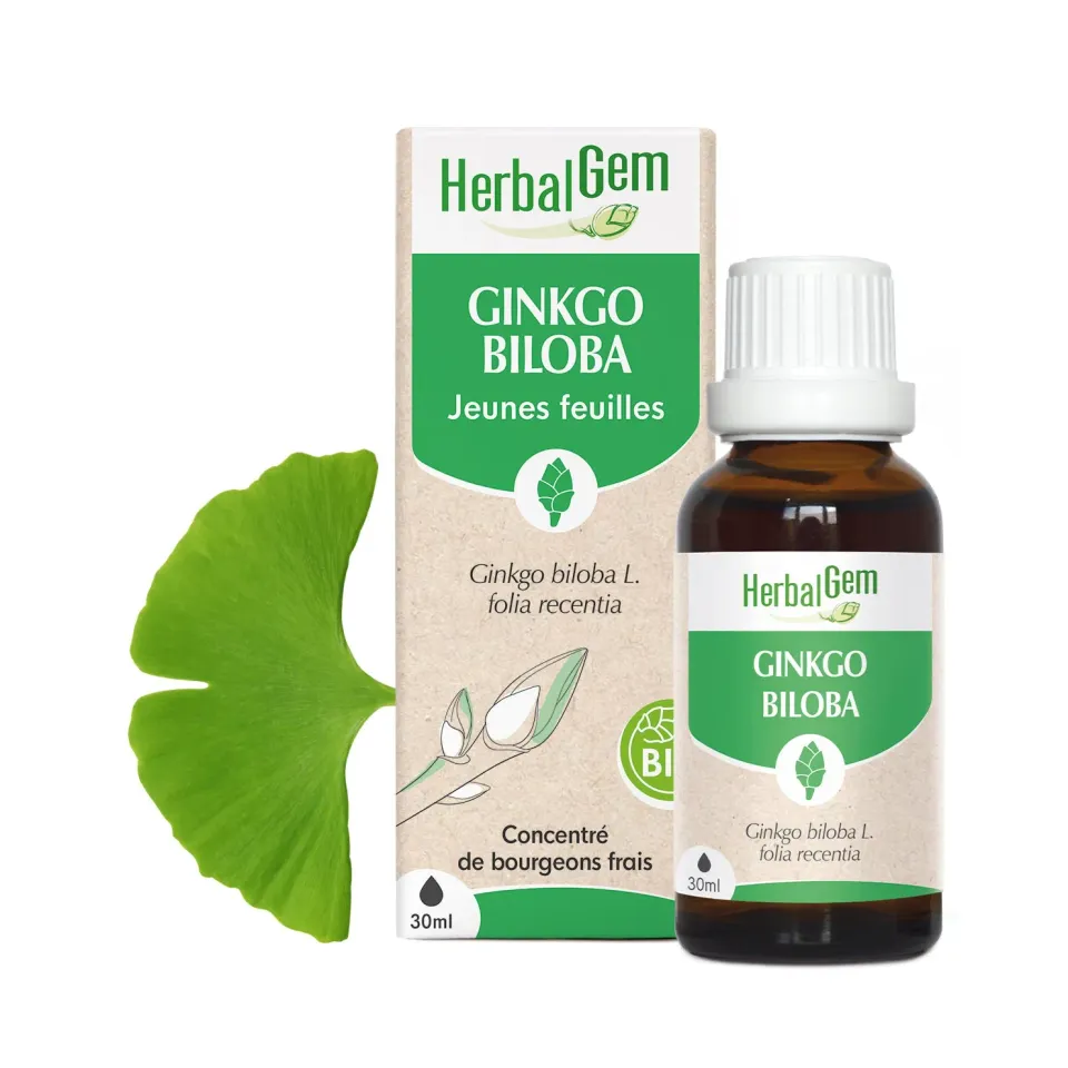 Herbalgem Bourgeon Ginkgo Biloba macérat bio mémoire