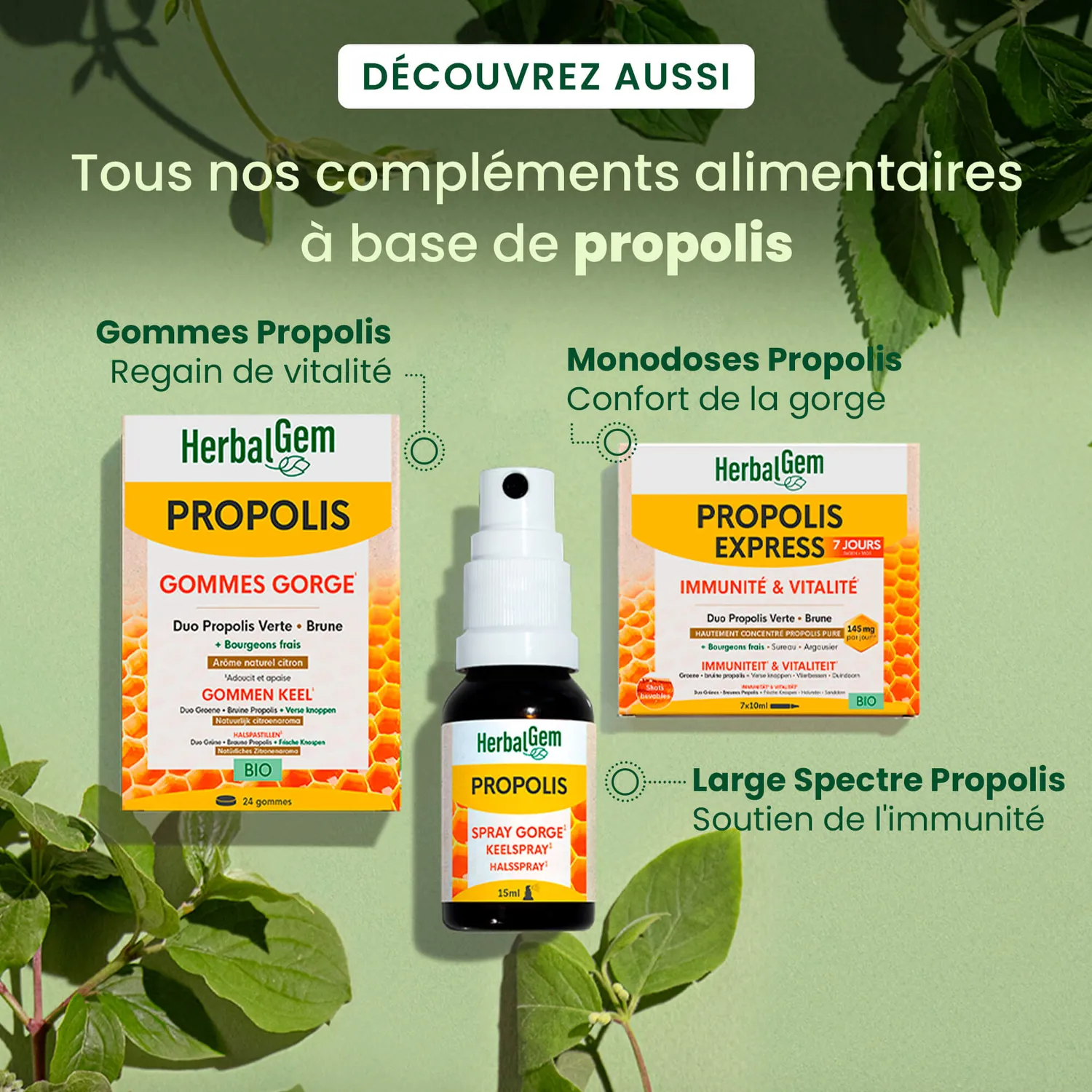 Herbalgem Propolis Express solution liquide bio immunité