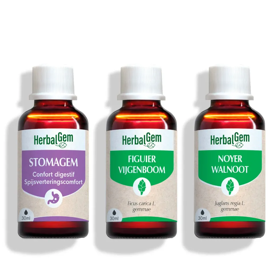 Herbalgem Trio Digestion complexe bourgeons 3 flacons confort