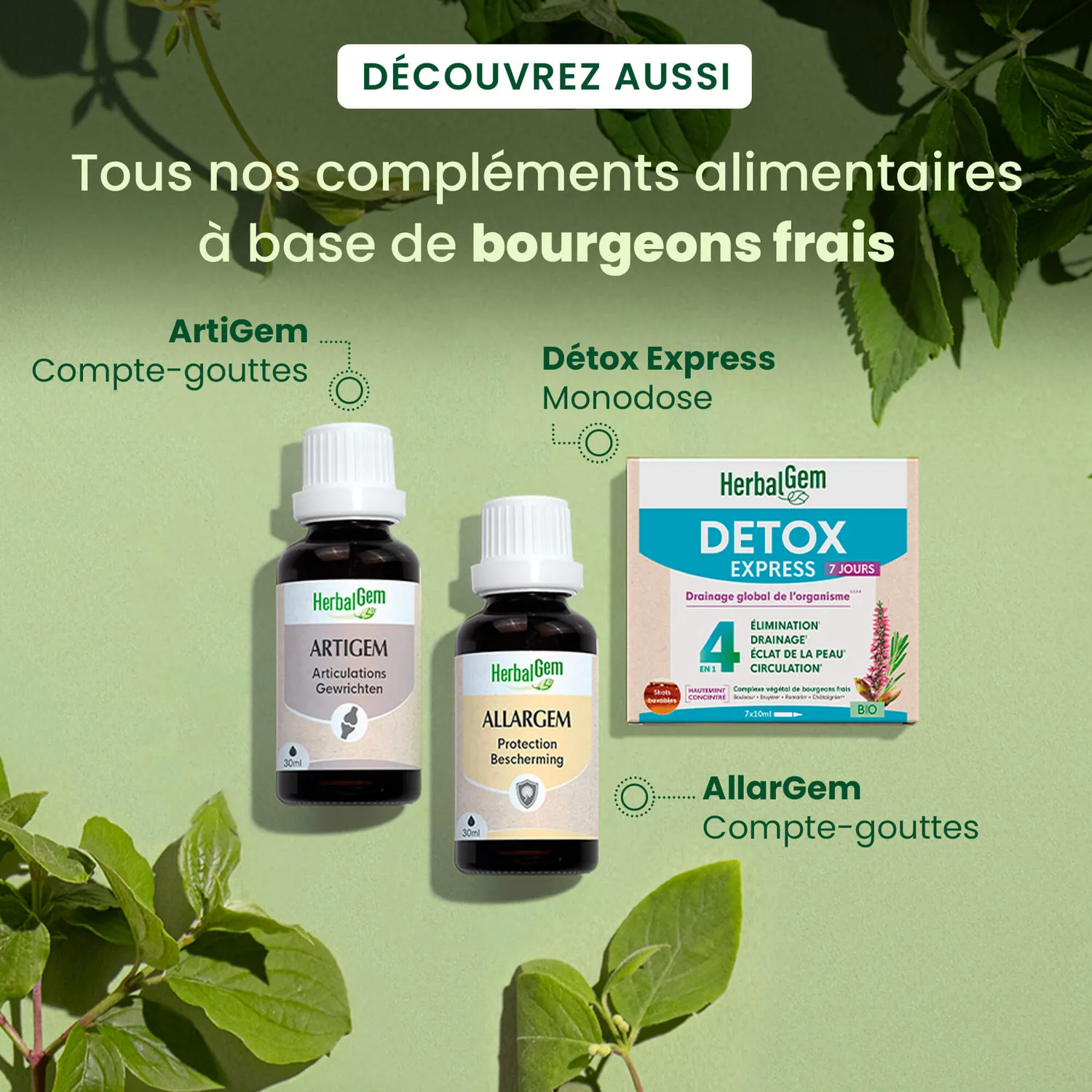 Herbalgem Détox Express monodoses bio 7 jours