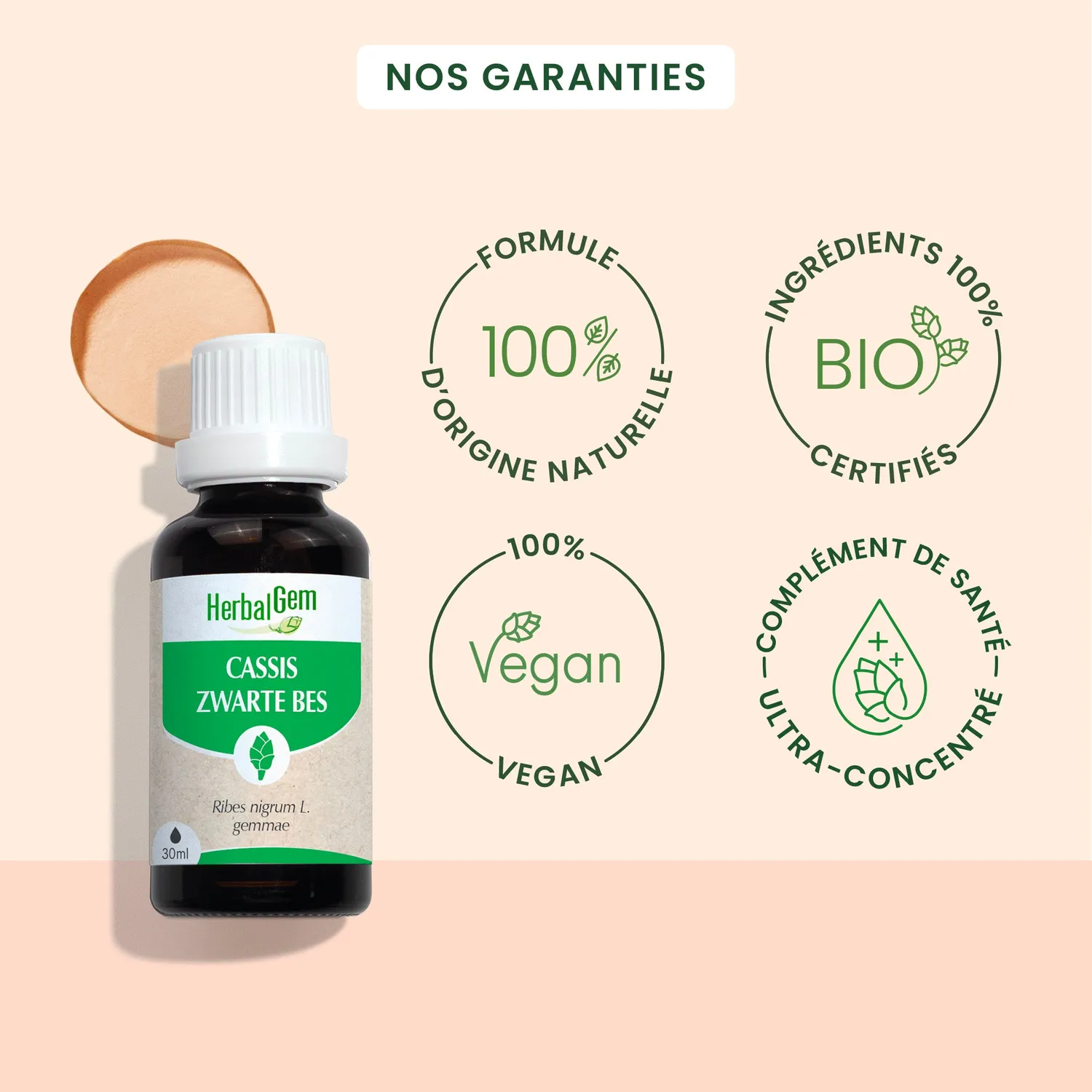 Herbalgem Cassis bourgeon bio macérat confort articulaire