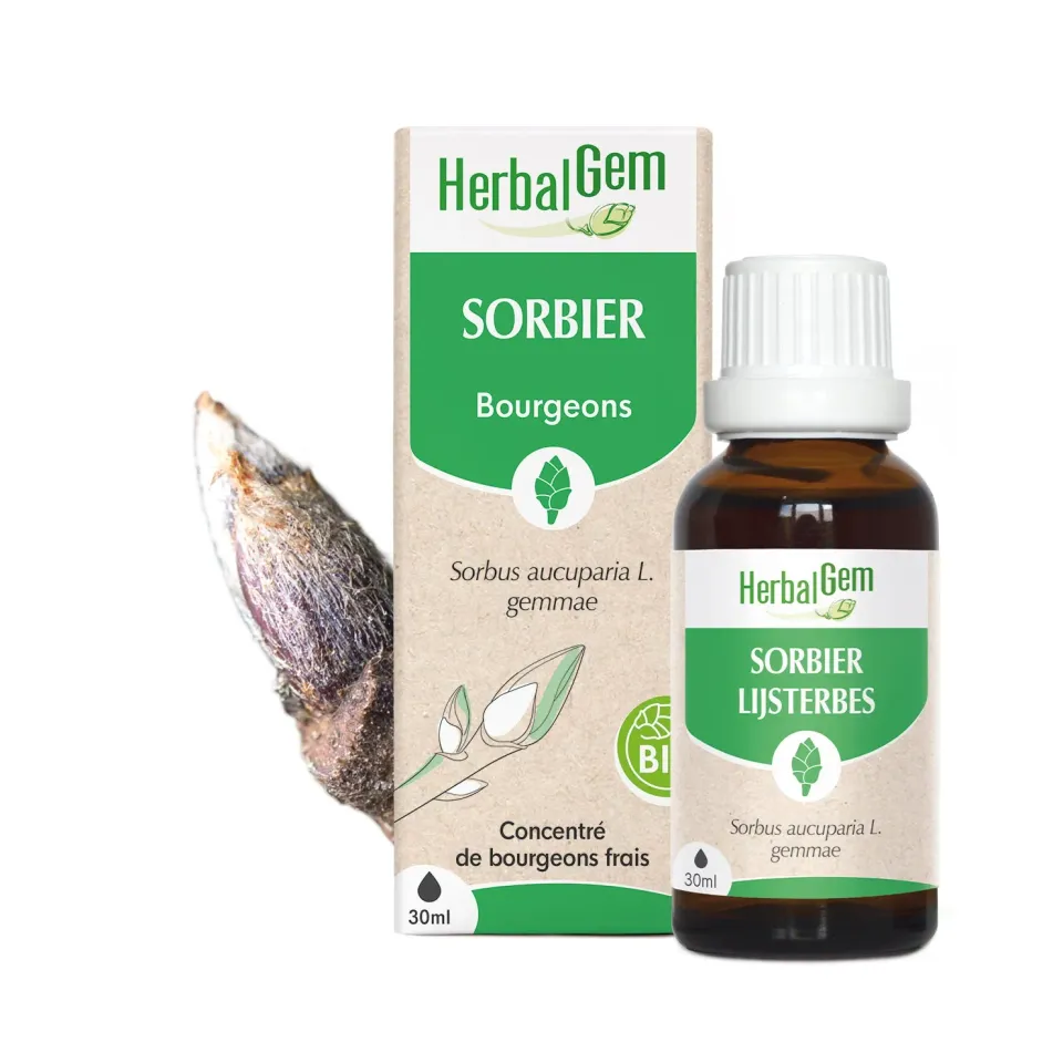 Herbalgem Sorbier bourgeon bio circulation flacon