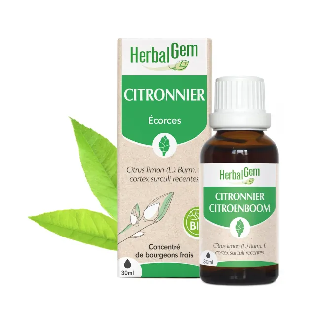 Herbalgem Citronnier bourgeon bio fluidité sang