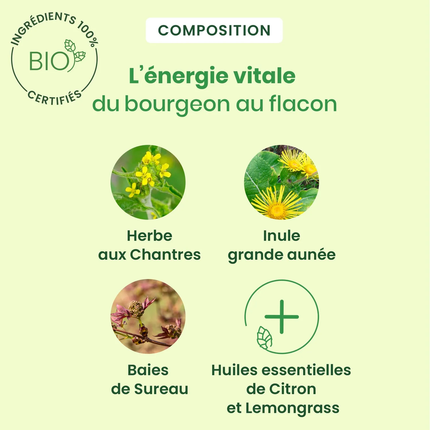 Herbalgem Chantres sirop voix enrouée bio