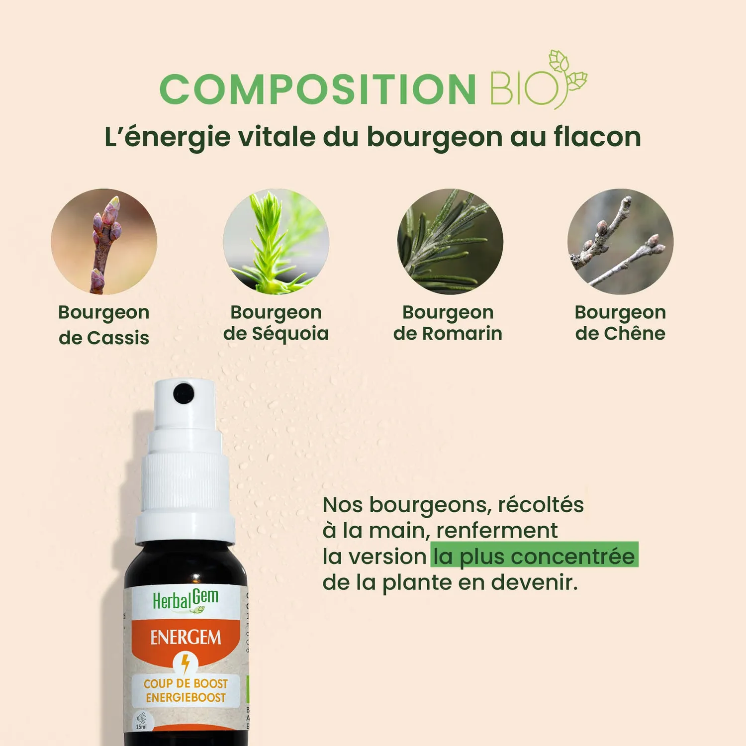 Herbalgem EnerGem complexe bourgeons bio fatigue