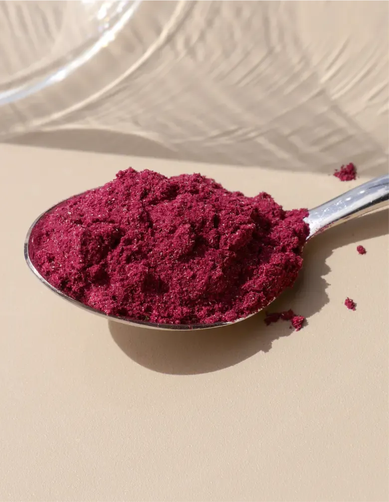 kruut Daily Berries poudre baies sauvages 75 g