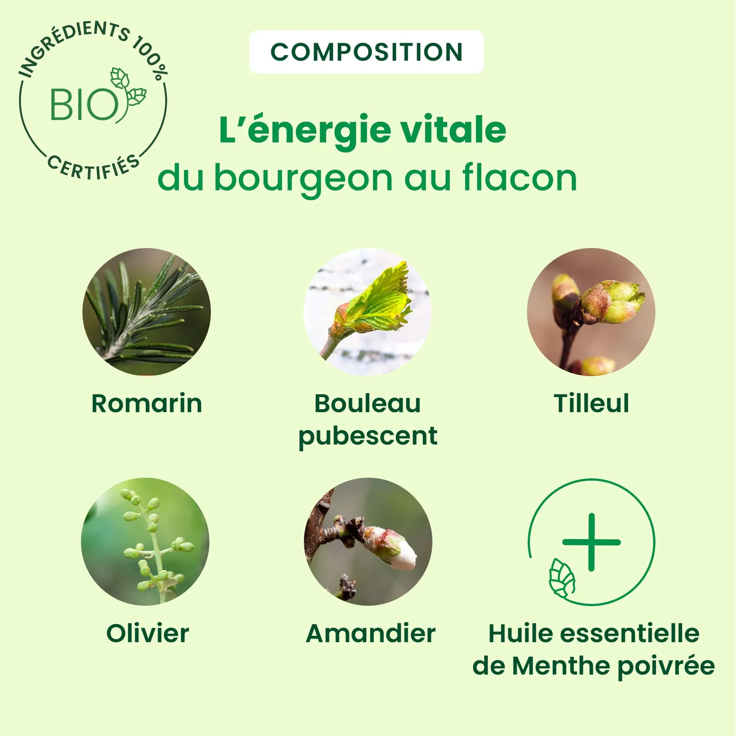 Herbalgem Cholestegem complexe bourgeons bio cholestérol