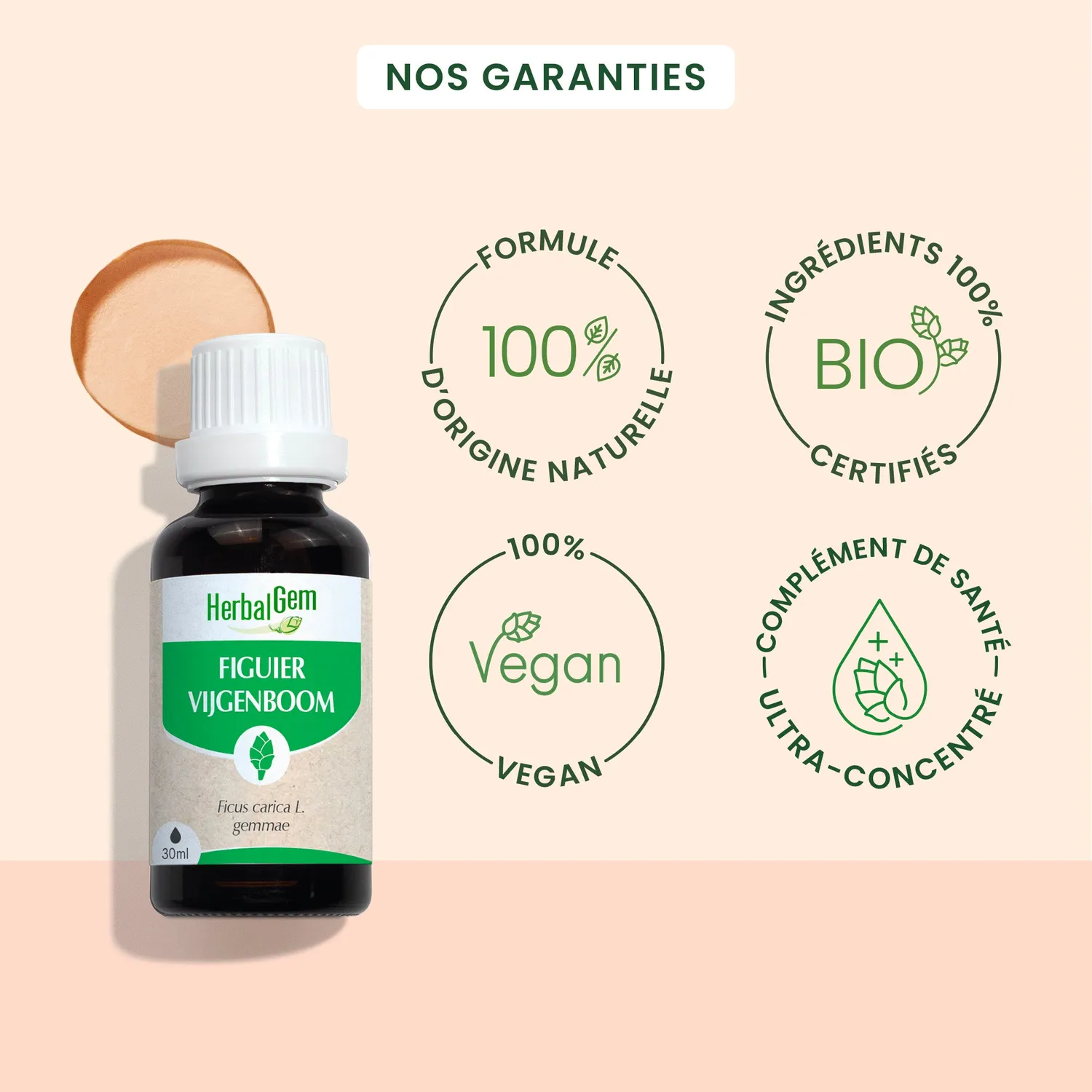 Herbalgem Figuier bourgeon bio duo 30 ml + 15 ml digestion