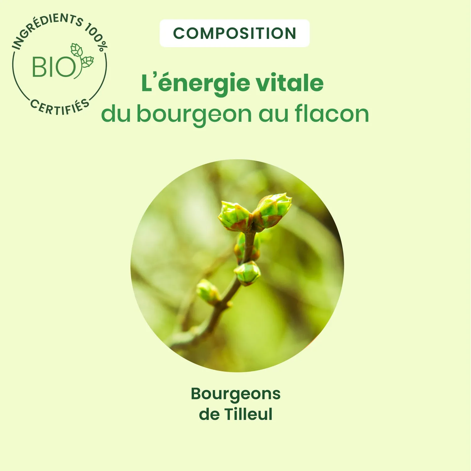 Herbalgem Tilleul concentré bourgeon bio sommeil