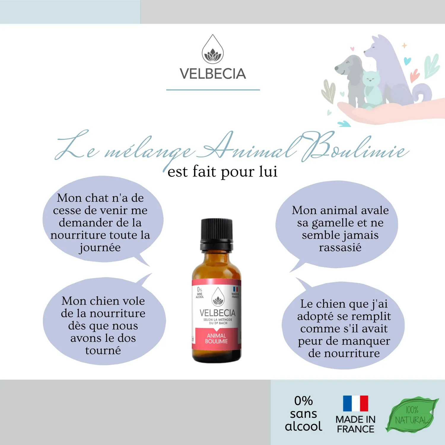Velbecia Animal boulimie élixir fleurs 50ml sans alcool glouton