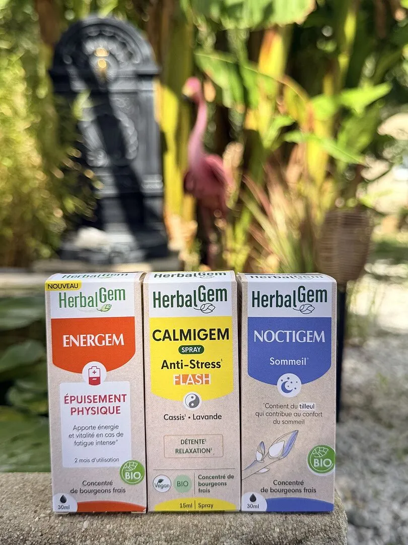Herbalgem Pack Jour Nuit Energem Calmigem Noctigem 3 flacons