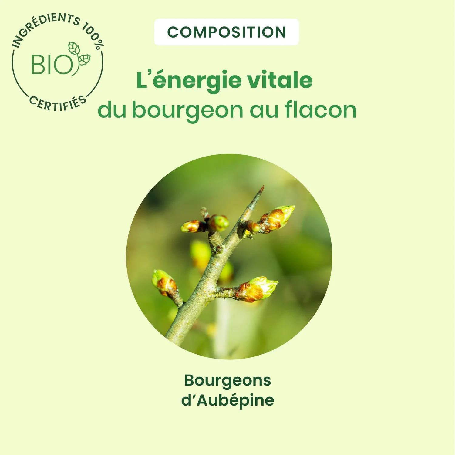 Herbalgem Aubépine bourgeon bio coeur 30 ml