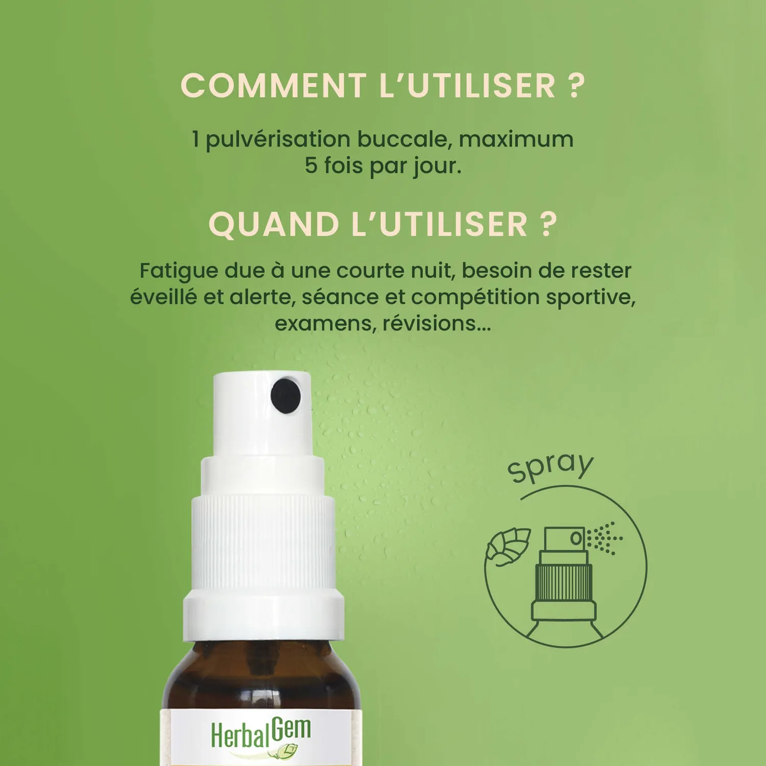 Herbalgem EnerGem complexe bourgeons bio fatigue