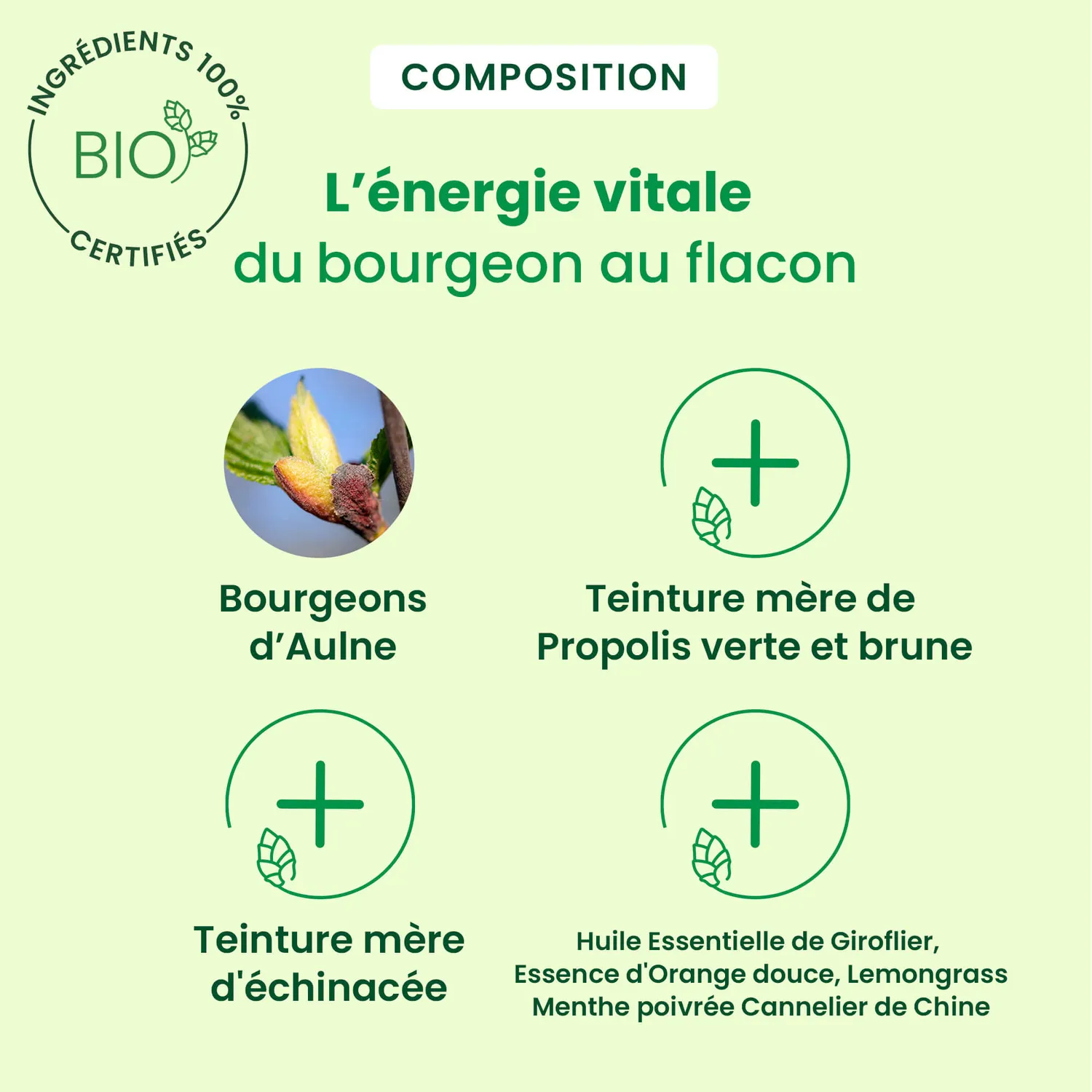 Herbalgem Gorge gommes propolis bio adoucissante