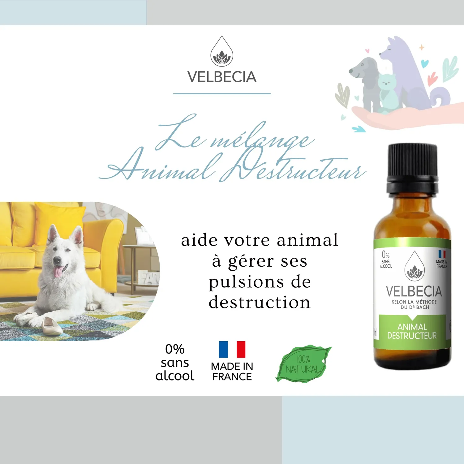 Velbecia Animal Destructeur élixir 30 ml x2 sans alcool