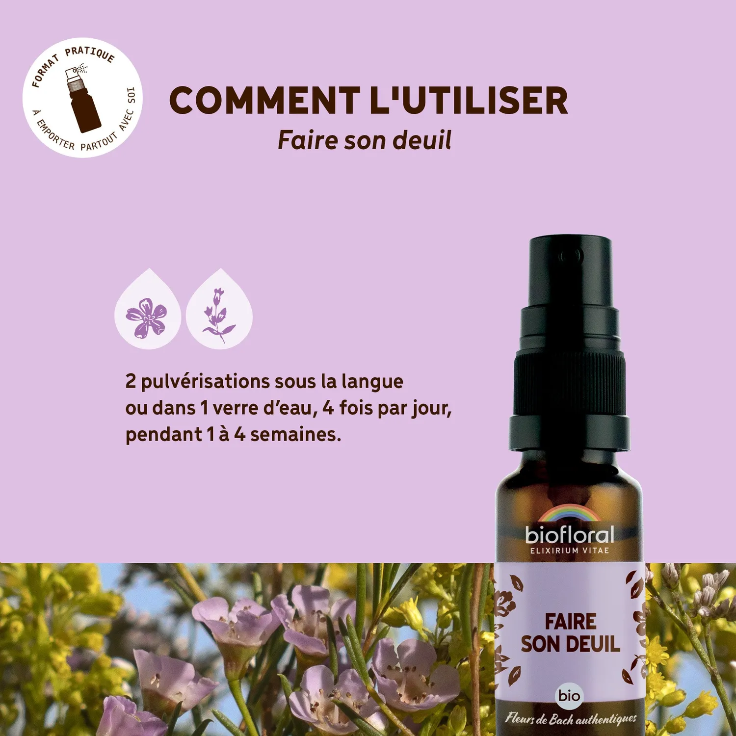 Herbalgem Faire son Deuil spray bio chagrin