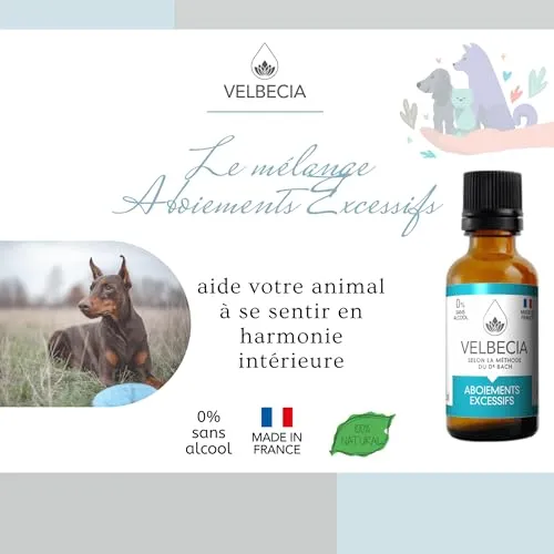 Velbecia Aboiements excessifs élixir chien 2x50 ml