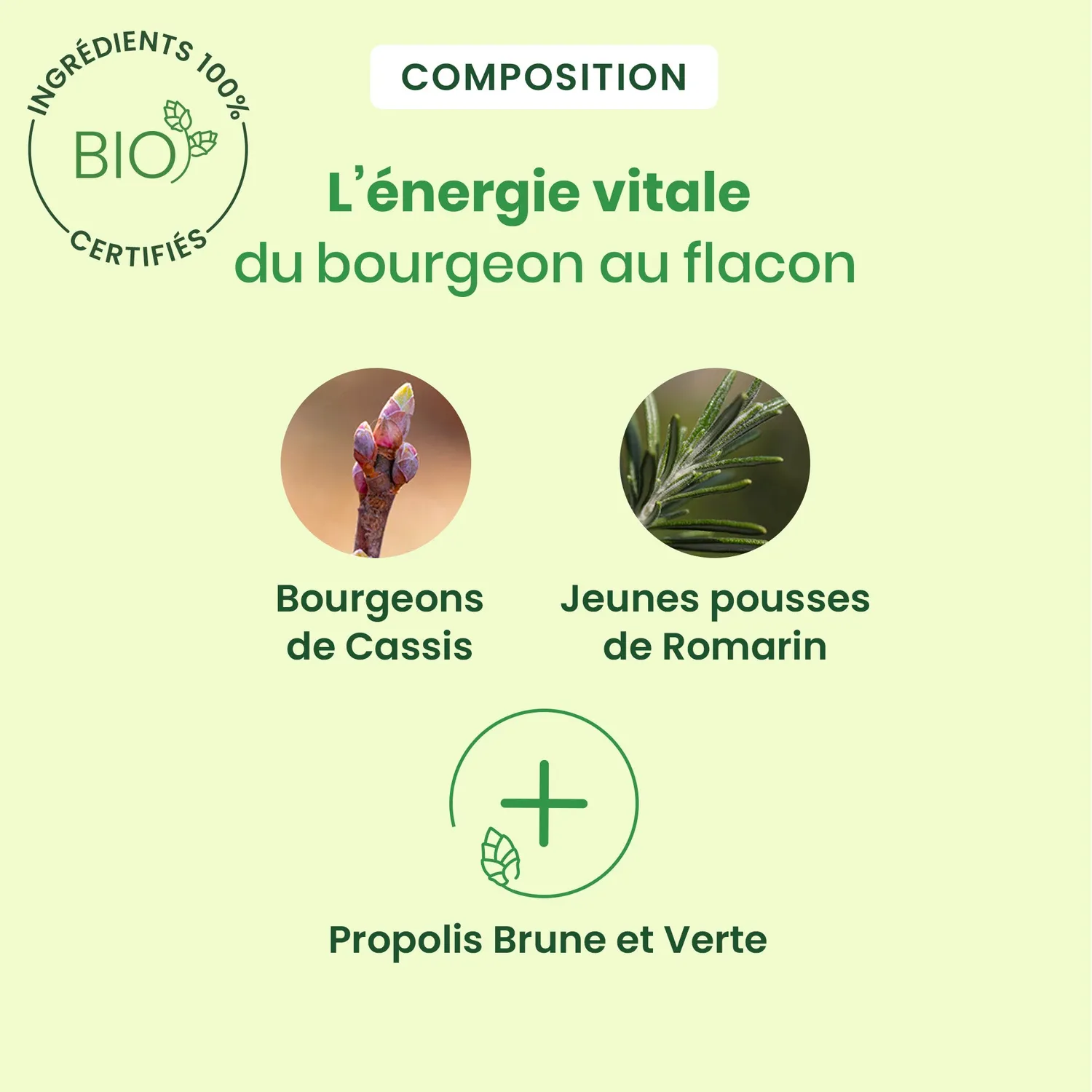 Herbalgem AllarGem complexe bourgeons allergies bio