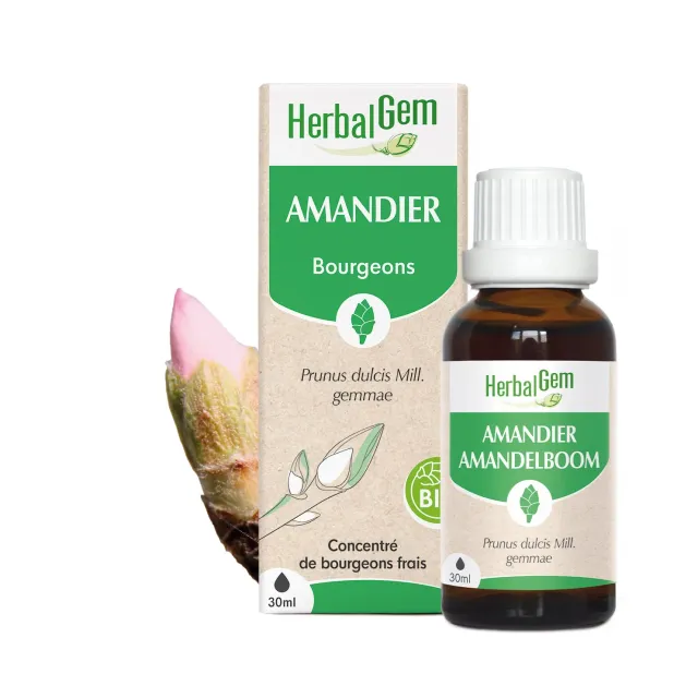 Herbalgem Bourgeon d'Amandier Bio concentre
