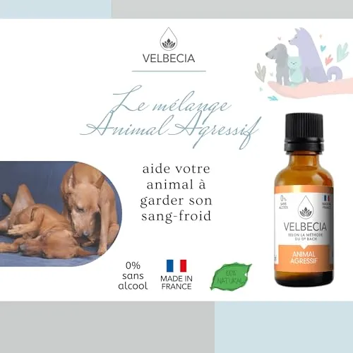 Velbecia Animal agressif élixir 2x30ml sans alcool